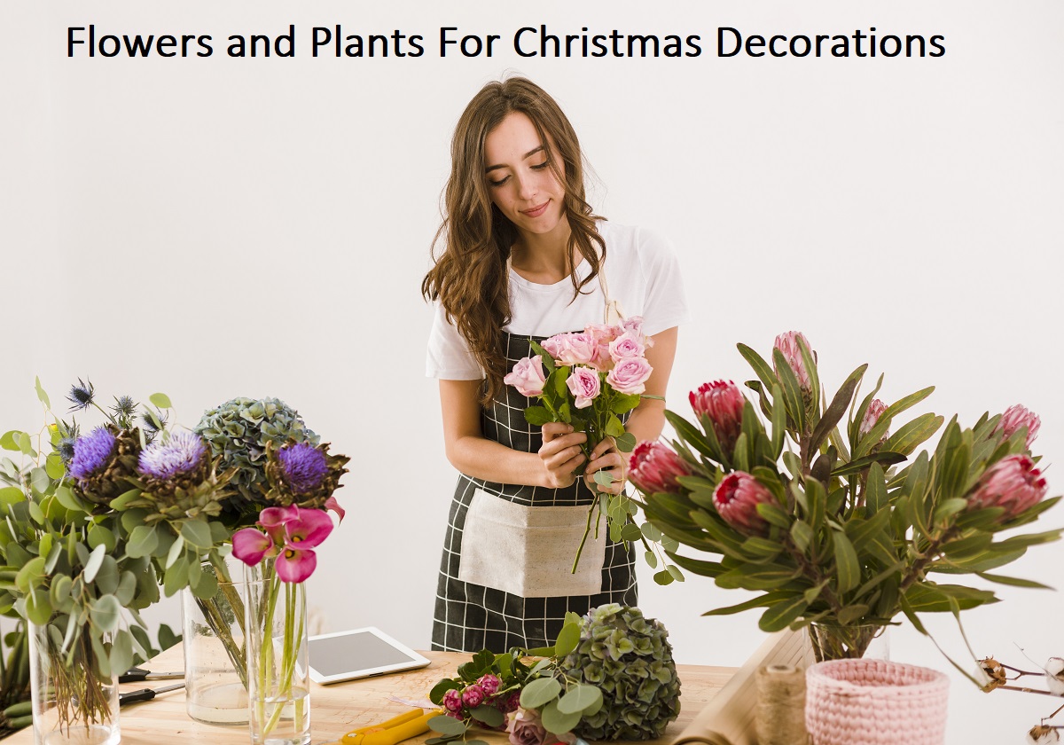 flowers-and-plants-for-Christmas-decorations