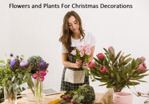 flowers-and-plants-for-Christmas-decorations